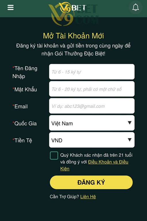 Điền đầy đủ thông tin đăng ký V9bet yêu cầu